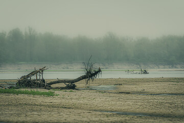 Mgła nad Wisłą, poranek © Grzegorz