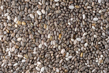 Numerous dried or dehydrated chia seeds spread evenly