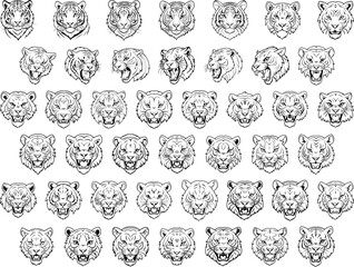 Tiger face coloring page and outline vector design