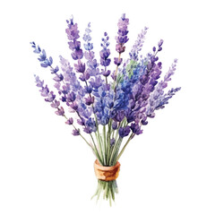 Fototapeta premium Watercolor Lavender Bouquet Clipart