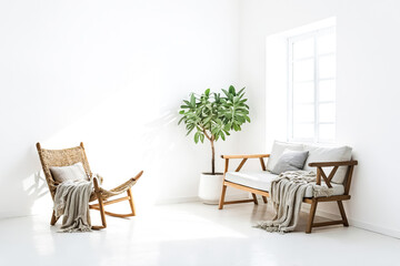 Minimalist Living Room with Wooden Furniture and Green Plant