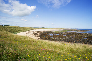 Low Newton By The Sea