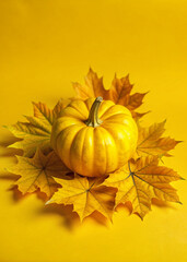 pumpkin, autumn, halloween, fall, thanksgiving, orange, leaf, food, harvest, vegetable, leaves, season, holiday, vector, decoration, pumpkins, illustration, nature, october, fruit, yellow, seasonal, p