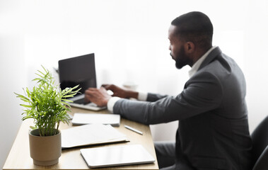 Business background. Businessman working on laptop in modern office, selective focus on plant at work desk