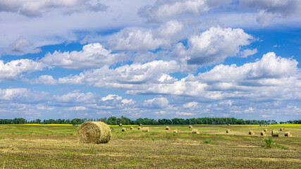 Hay bales under a big Saskatchewan summer sky