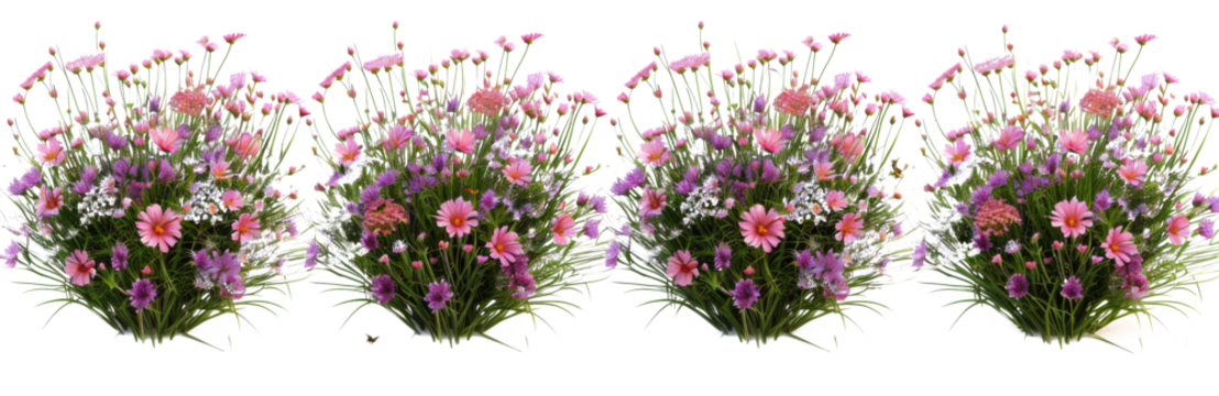 Aerial view pink flowers gardening set on transparent backgrounds 3d illustrations png