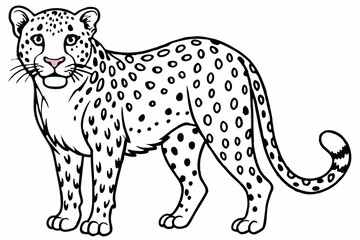 Funny Cheetah Vector Illustration, Cartoon Clipart, and Line Art Design on White Background, Funny cheetah vector illustration, cartoon clipart, and line art design on white background.