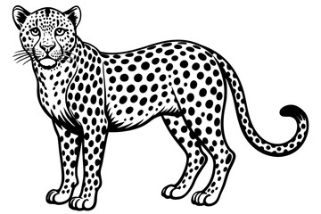 Funny Cheetah Vector Illustration, Cartoon Clipart, and Line Art Design on White Background, Funny cheetah vector illustration, cartoon clipart, and line art design on white background.
