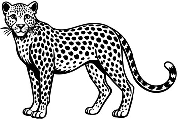 Funny Cheetah Vector Illustration, Cartoon Clipart, and Line Art Design on White Background, Funny cheetah vector illustration, cartoon clipart, and line art design on white background. © raseldesigner93