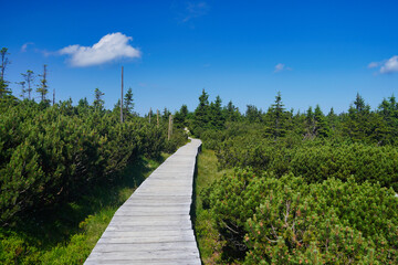 'Wet Path' trail in the Polish Karkonosze Mountains.