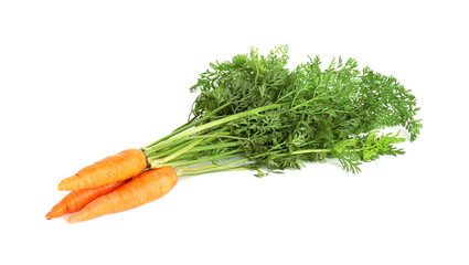 Tasty ripe juicy carrots isolated on white