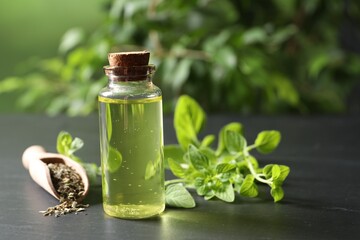 Essential oil in bottle, scoop with dry herb and oregano twigs on dark textured table against blurred green background, closeup