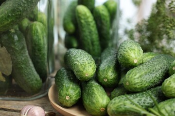 Fresh cucumbers on wooden table, closeup. Preparation for pickling