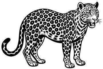 Funny Jaguar Vector Illustration Cartoons, Clipart And Line Art Design on White Background, Funny Jaguar vector illustration in cartoons, clipart, and line art design on a white background
