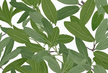 Obraz premium green leaves on white background, wall paper