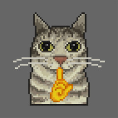 Cat shhh, pixel art meme