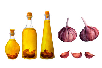 A bottle of aromatic olive oil with spices and garlic, watercolor hand painted, isolated on white background. It can be used for prints on textile and paper, for clothes, for plates and dishes design