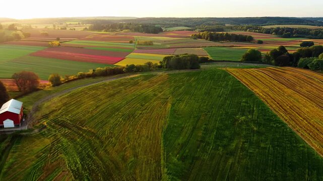 Bird's-eye view: Vibrant patchwork of agricultural fields stretches to horizon. Pans across undulating landscape, revealing diverse crop patterns and meandering train tracks.