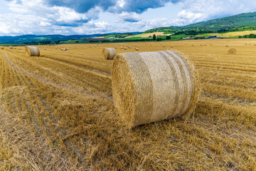Harvested grain in a field in the countryside, bales of straw and clouds in the sky © venars.original