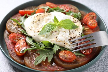Delicious fresh burrata salad in bowl served on light gray table, closeup