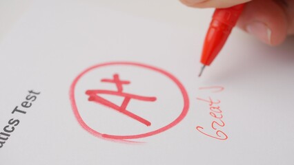 Professional school or college teacher grades a homework exam papers of students. Woman grades test...
