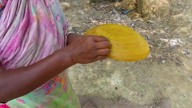 A village woman prepares handmade cake with ripe mangoes. Traditional Aam papad making with sweet mango pulp.