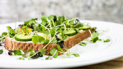 Open faced sandwich with microgreens and cucumber