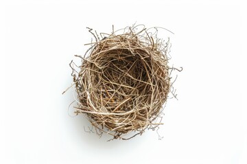Bird nest from above on white surface