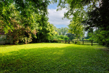 Farm Sunlit Backyard With Lush Green Trees And A Wooden Fence View