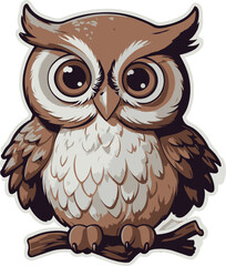 owl on a white background