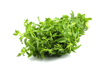 Fresh mint leaves isolated on white background