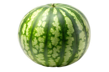 One single watermelon