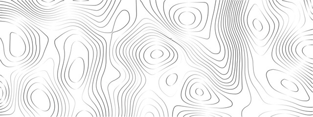 Transparent PNG Topographic line map. Modern design with White background with topographic wavy pattern design.	