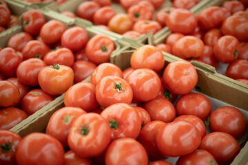 Red tomatoes at the market. Tomatoes in cardboard boxes. Tray with vegetables.