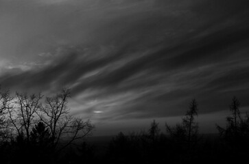 
windy winter sunset in nature - black and white version
