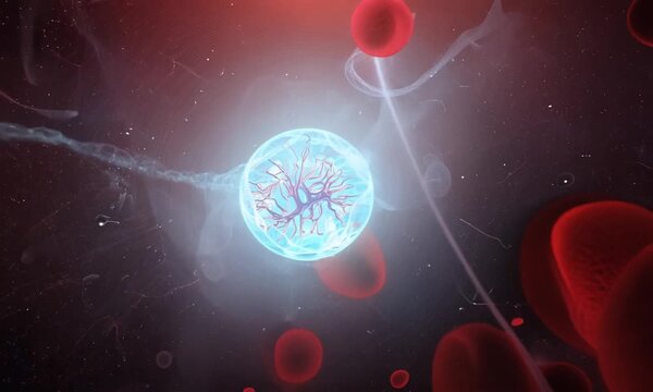 A glowing ovum among the blood cells in the fluid.