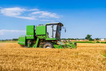 Fototapeta premium combine harvester working on a wheat field
