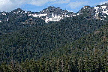Majestic Mountain Range with Snow-Capped Peaks and Dense Forest