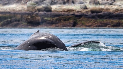 Obraz premium Juneau, Alaska