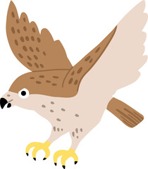 飛んでいる鷹のベクターイラスト