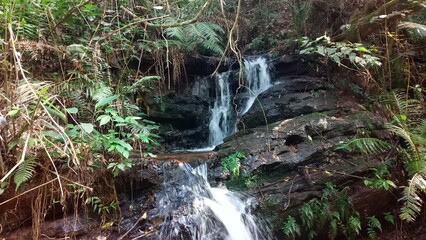 beautiful natural landscape of a waterfall in the forest
