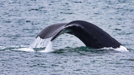 Juneau, Alaska © Paul James Bannerman