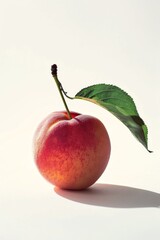 Mystic photo of Freestone Peach, isolated on white background