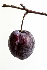 Mystic photo of Italian Prune Plum isolated on white background