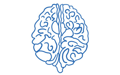 brain vector illustration
