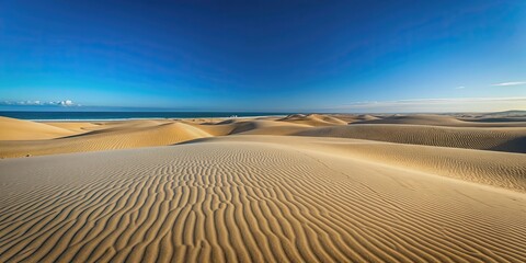 Fototapeta premium Vast expanse of sandy dunes stretching into the horizon under a clear blue sky, desert, landscape, arid, dry, sand, dunes, hot