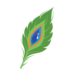 peacock feather decoration © Gstudio