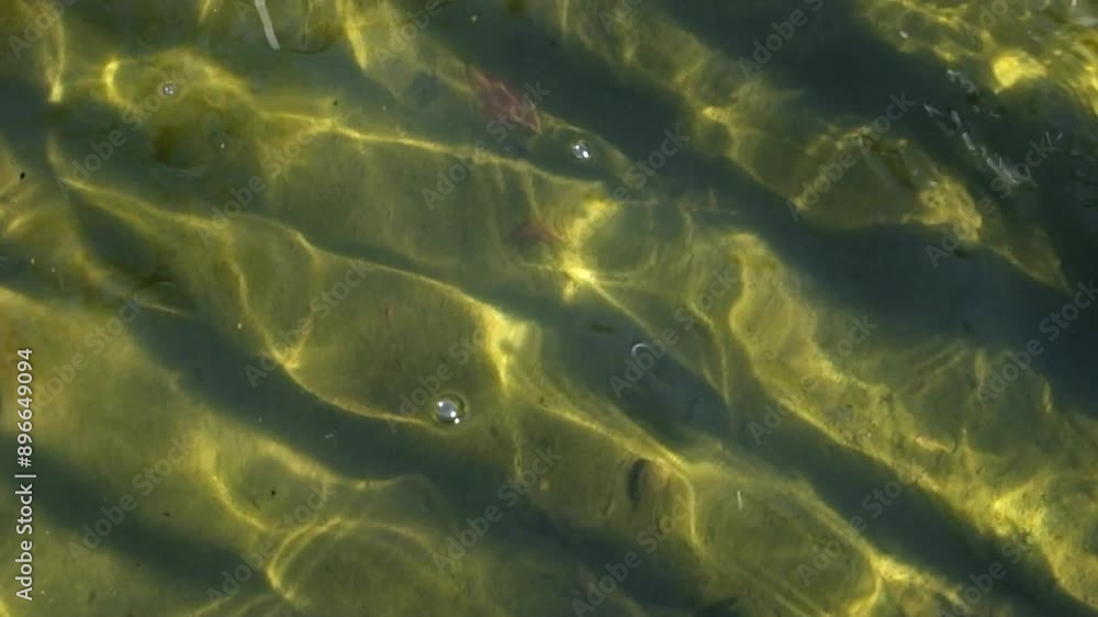 Poster abstract shapes and patterns of clear water movement. water moves because of the wind. moving pool w