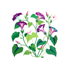 Outline flower set for artistic designs.