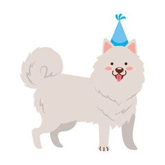 white dog with party hat